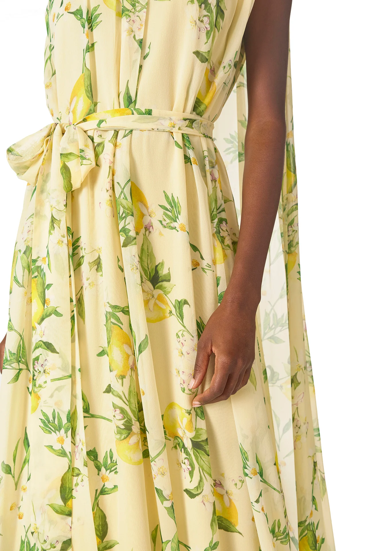 Lemon Print Georgette Gown - Image 2