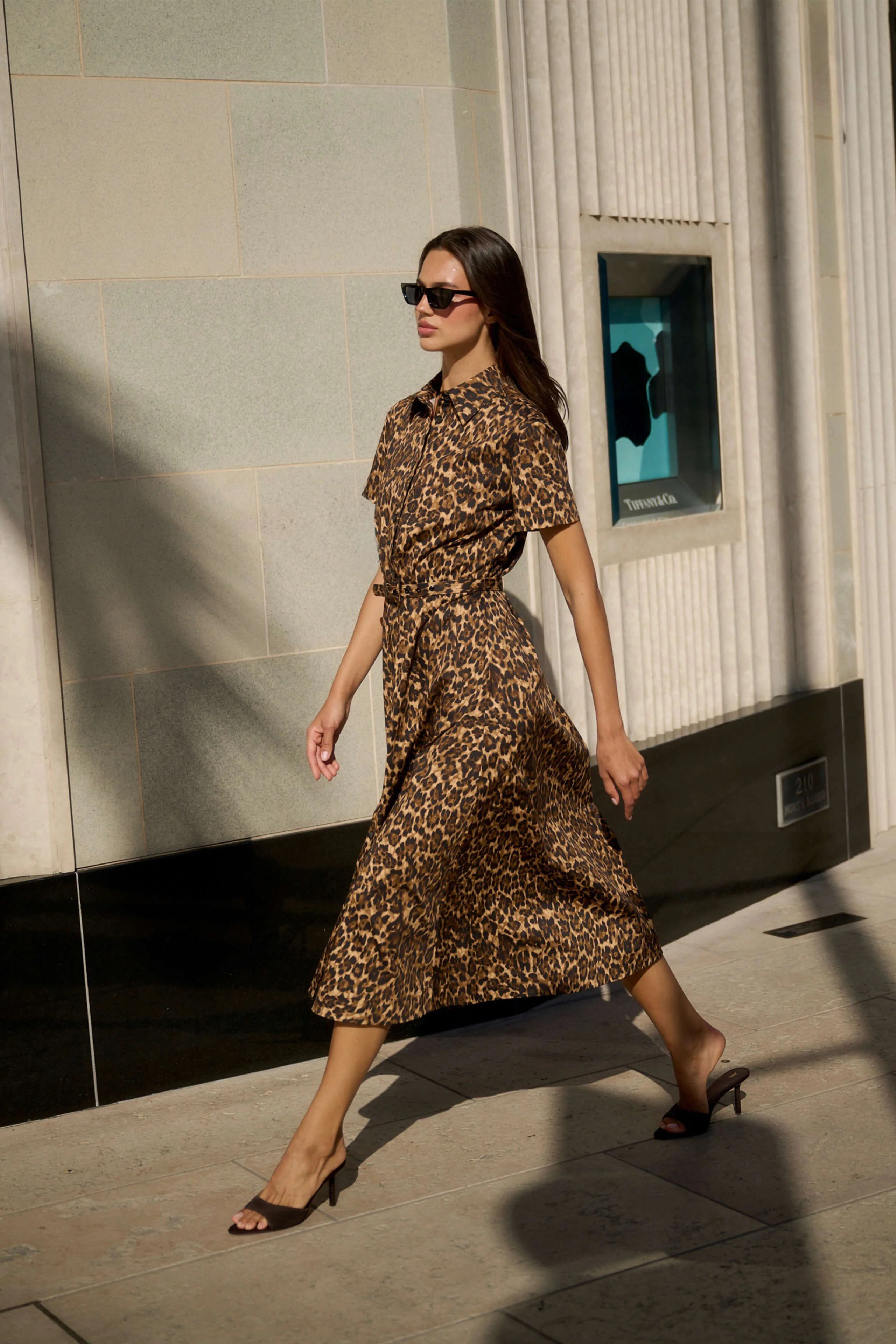 Leopard Poplin Shirt Dress - Image 2