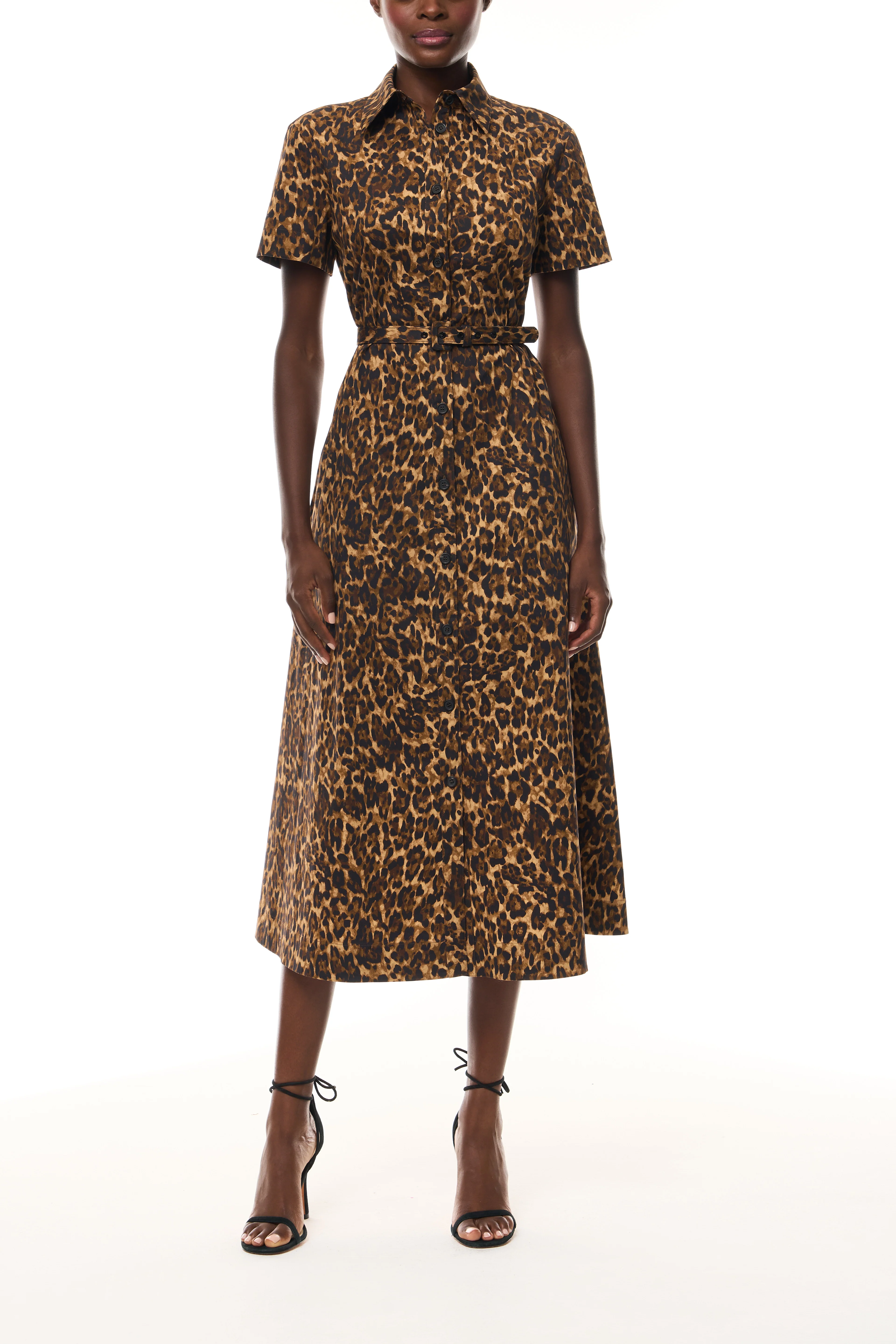 Leopard Poplin Shirt Dress - Image 6