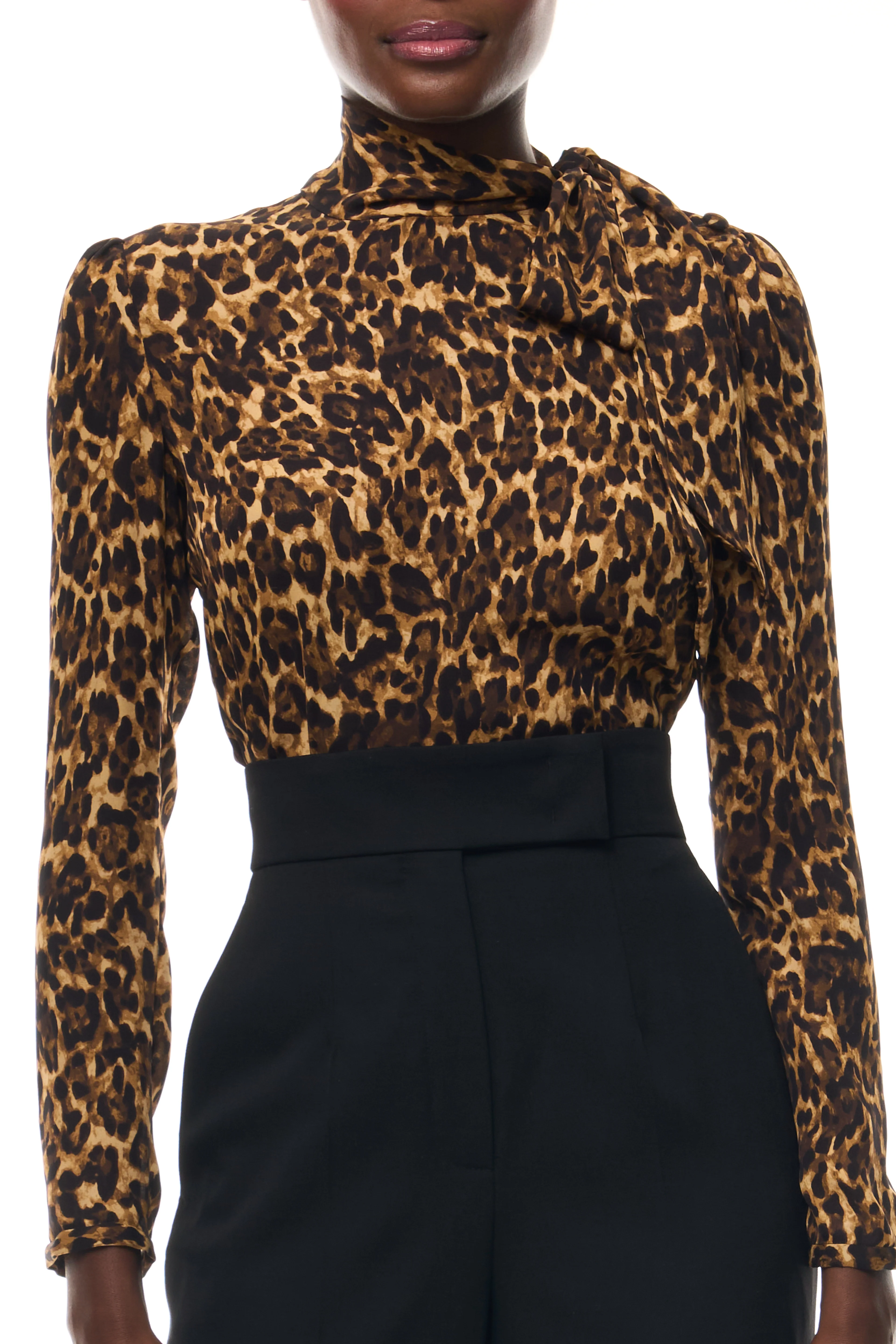Leopard Scarf Neck Blouse