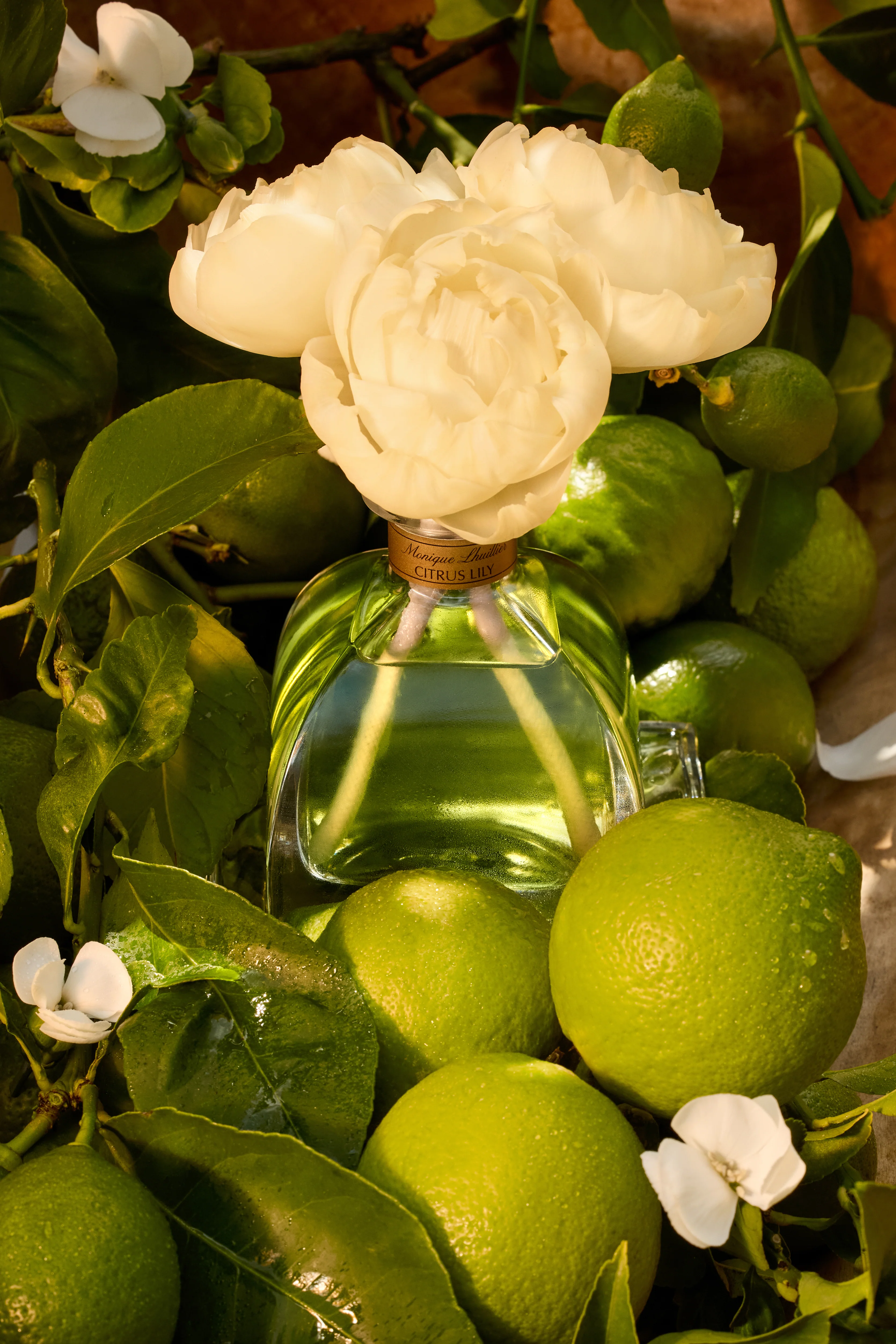 Citrus Lily AirEssence Diffuser - Image 3