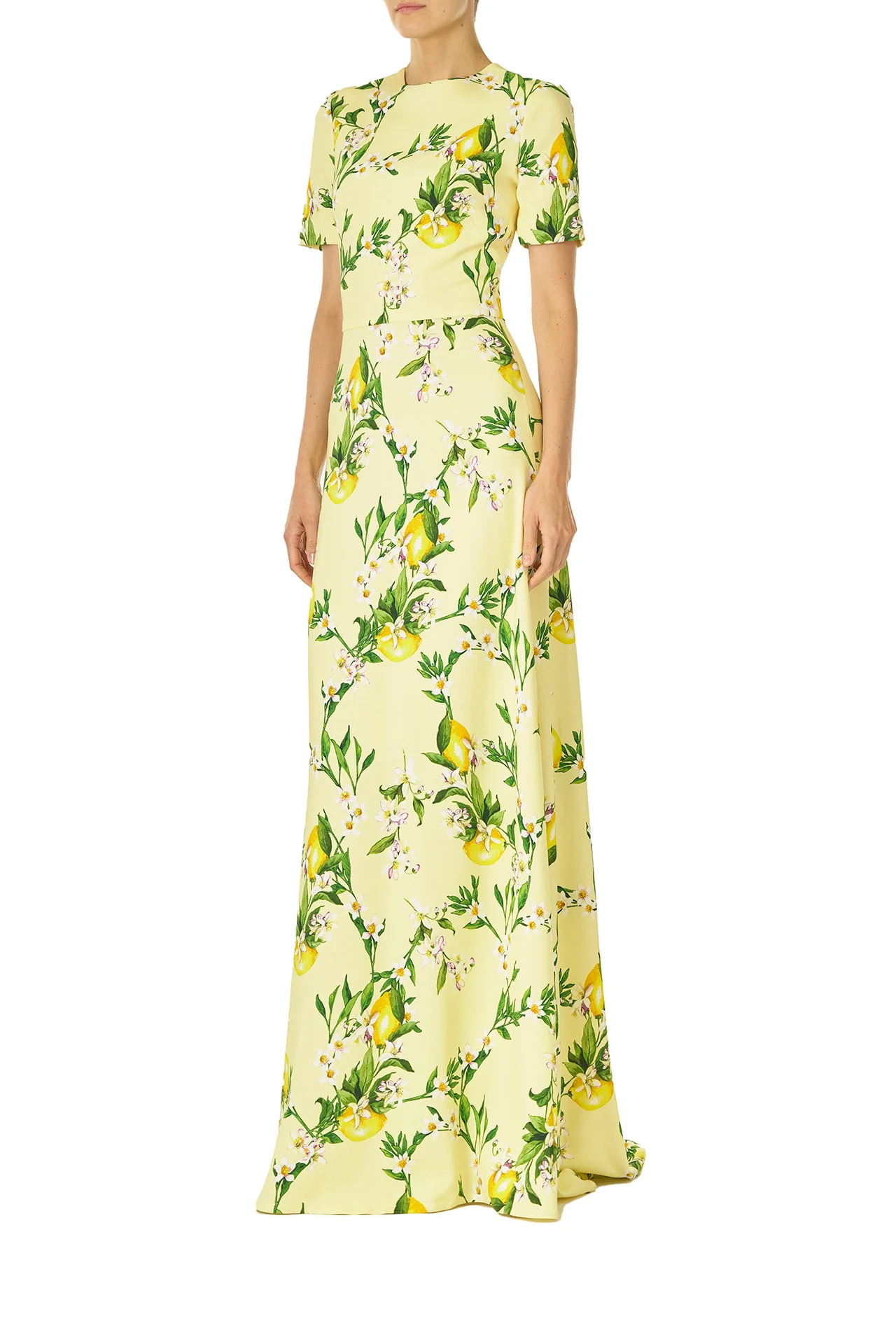 Short Sleeve Lemon Print Gown - Image 3