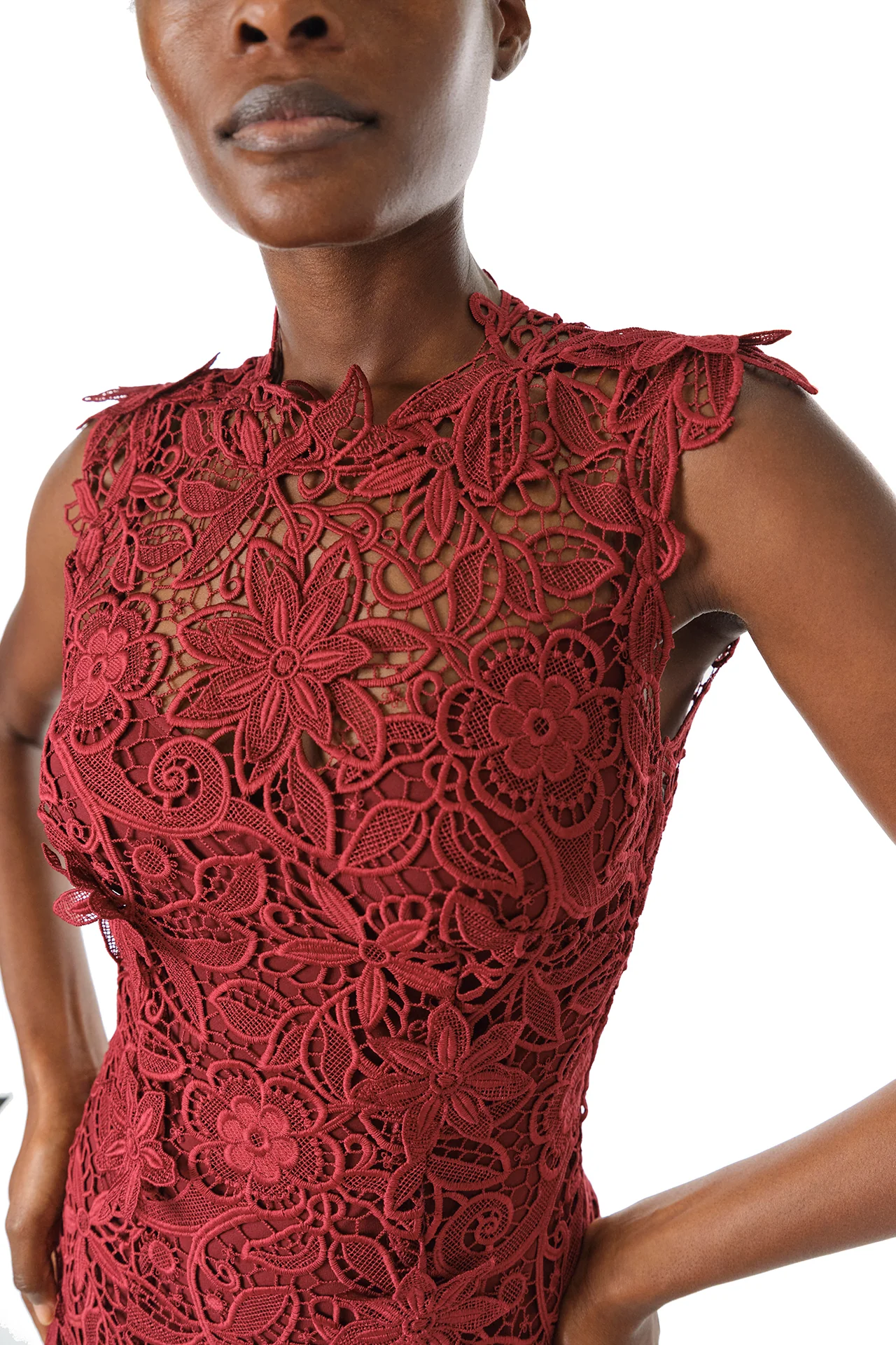 Sleeveless Lace Sheath - Image 2